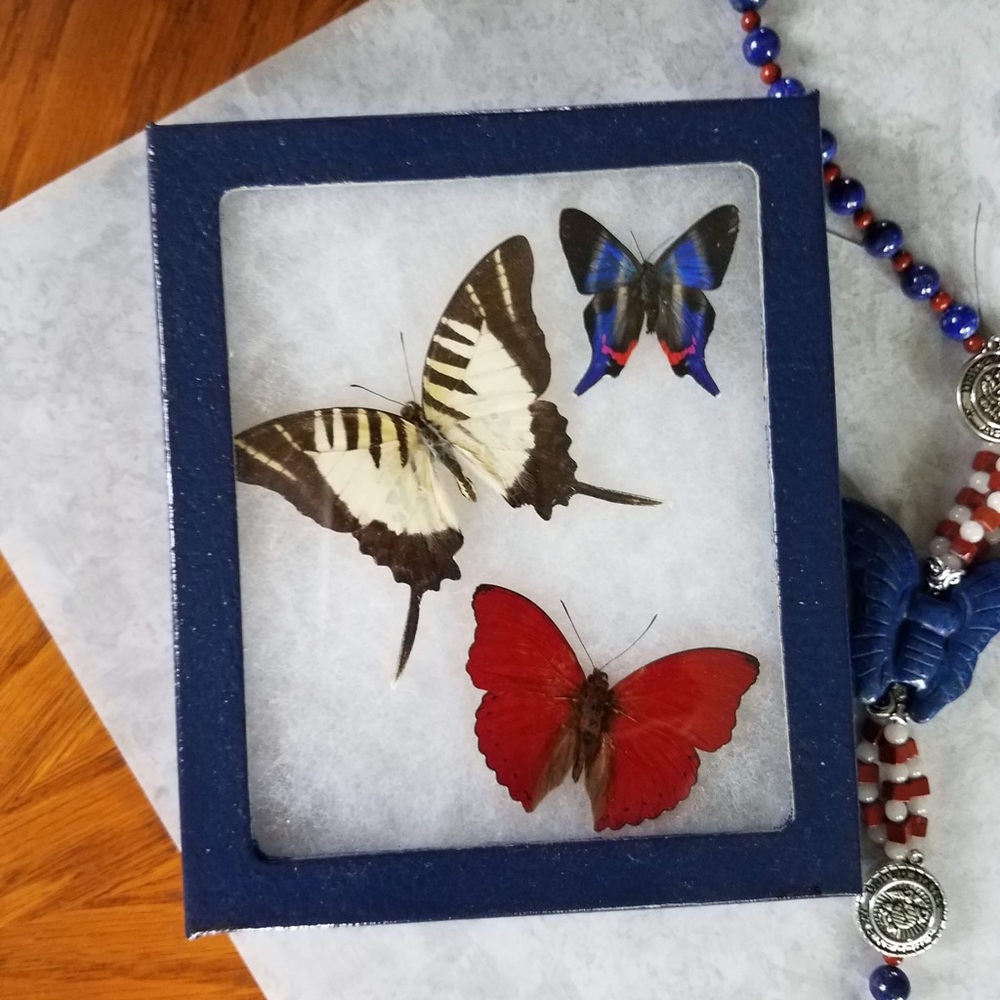 Meet your Posher, Melinda